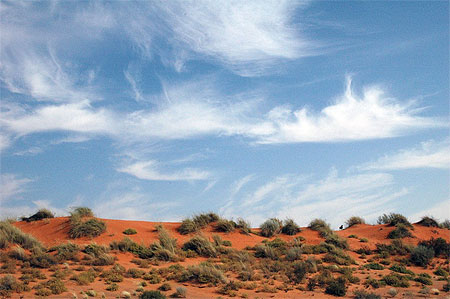 Dunes orang�es