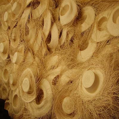 Panamas