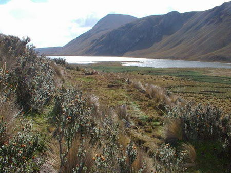 Sur la route des Incas