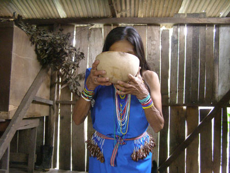 La chicha (yuca mach� par les femmes)