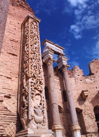 Laptis magna