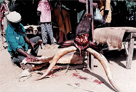 Boucherie au Niger