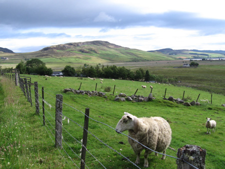 Paysage pr�s du Loch Ness