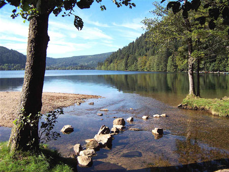Les Vosges