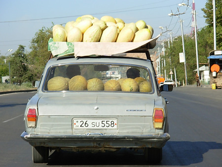 Les meilleurs melons du monde