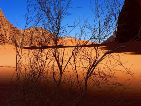 Couleurs du d�sert