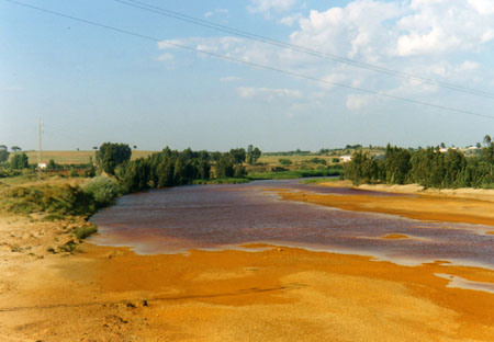 Le fleuve rouge 