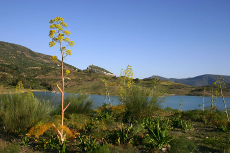 Paysage