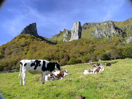 P�turages en Auvergne