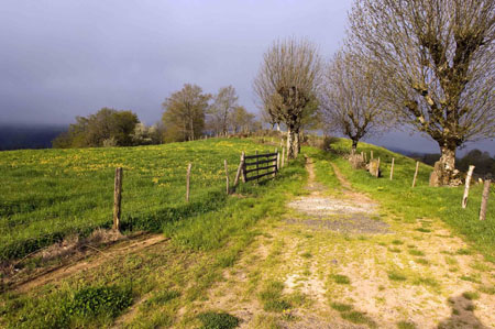 Paysage en Aveyron