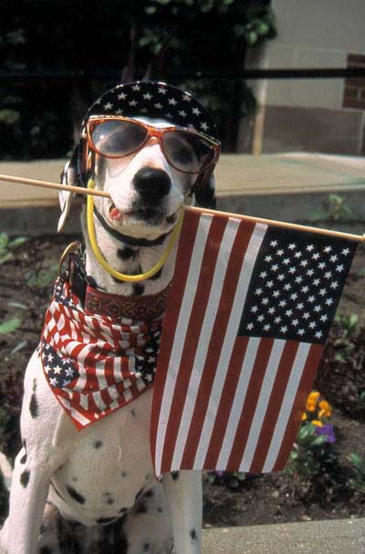 Patriote, memorial day