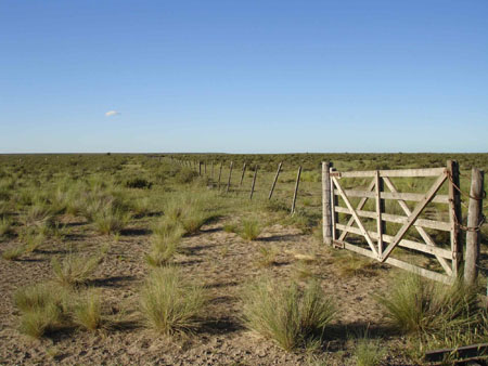 Payasge de pampa