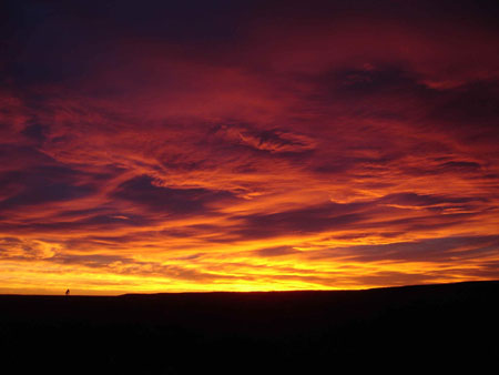 Coucher de soleil sur la pampa