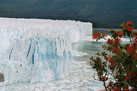 Perito Moreno