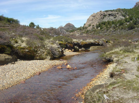 Paysage de montagne