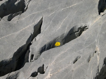 �tonnante force de la nature