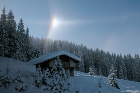 Etoile des neiges