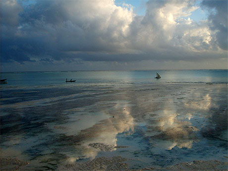 Serenit�  du  matin