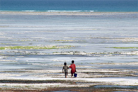 P�che � Zanzibar