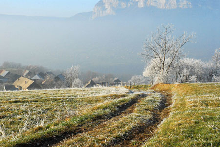 paysage givr�