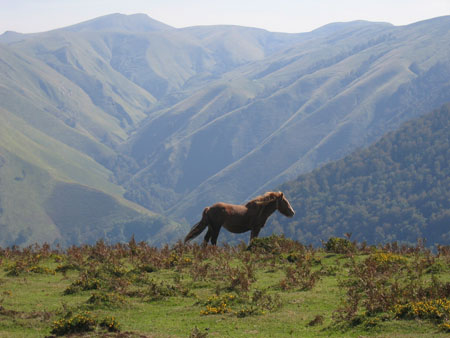 Montagne basque