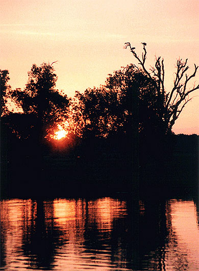 Kakadu park