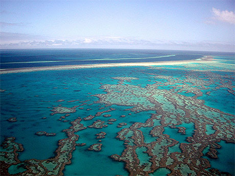Grande barri�re de corail