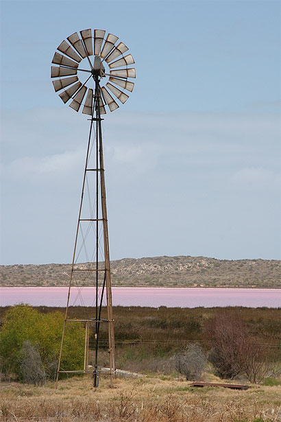 Lac rose