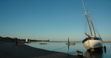Matin calme