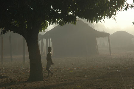 Brume malgache