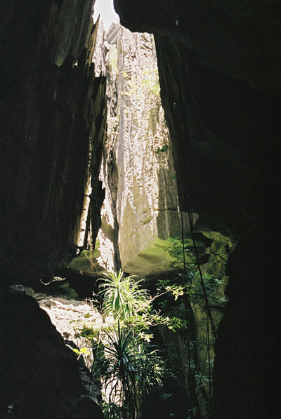Au coeur des Tsingy