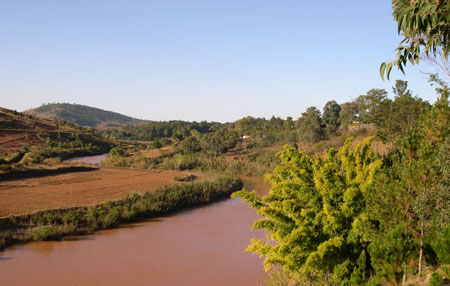Parc national o� vivent des l�muriens
