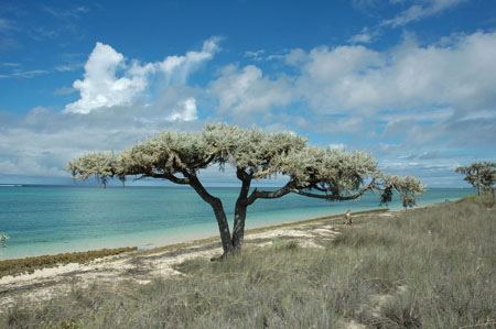 le gardien du lagon