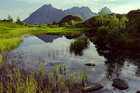 Etang