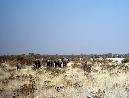 Promenade en famille .