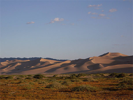 Khongorin Els