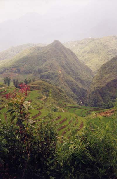 Rizi�res sur la route de Sapa, nord du Vietnam