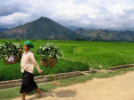 femme du nord viet nam