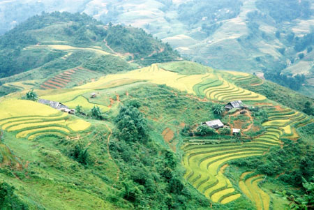 Huttes Hmong