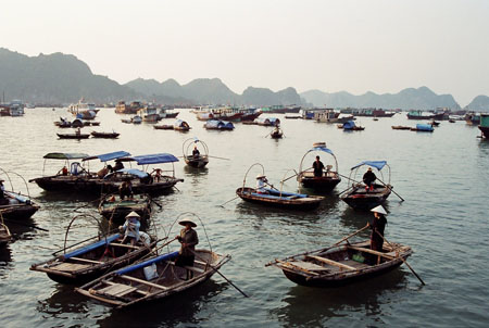 Ile de Cat Ba