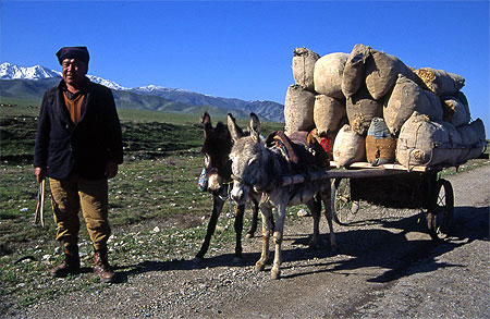 en route pour le march�