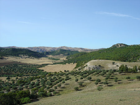 doux paysage tunisien