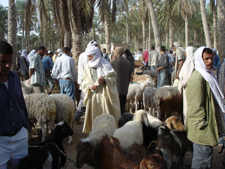 le march� des animaux