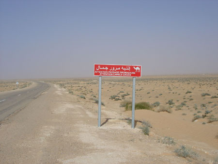 chaque pays a ses signaux