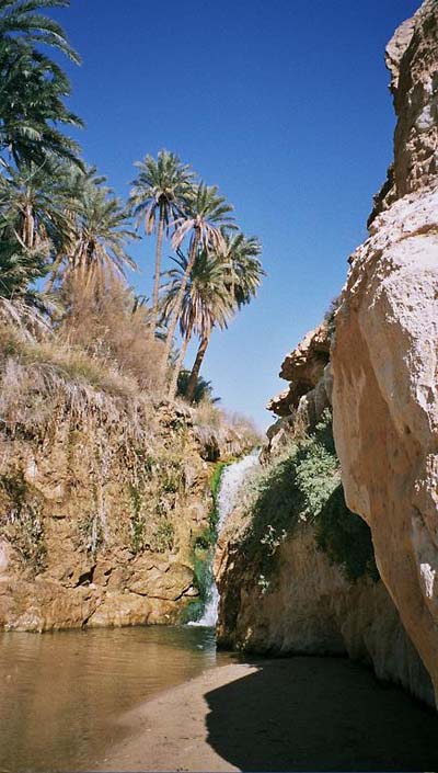 Cascade dans une oasis