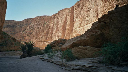 Ombres et lumi�res au fond des gorges de Seldja