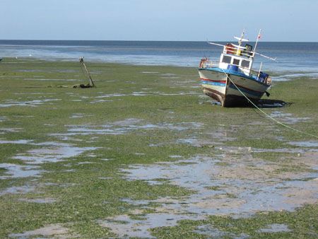 la tranquilite de la mer