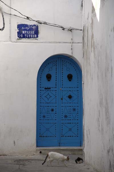 Impasse du tuteur
