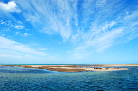 Du Bleu toujours du bleu