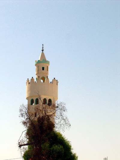 minaret perch�